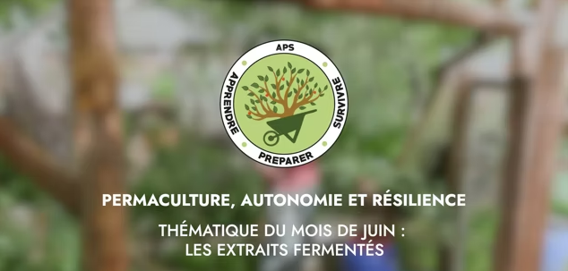 JUIN – Thématique du mois : les extraits fermentés