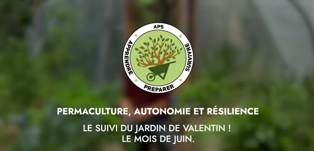 JUIN – Suivi du jardin