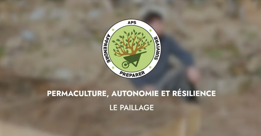 Le paillage, une technique incontrounable