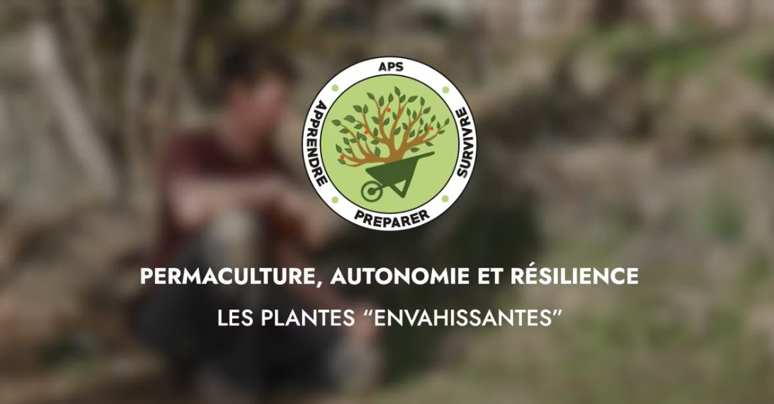 Comment réguler les plantes « envahissantes » ?