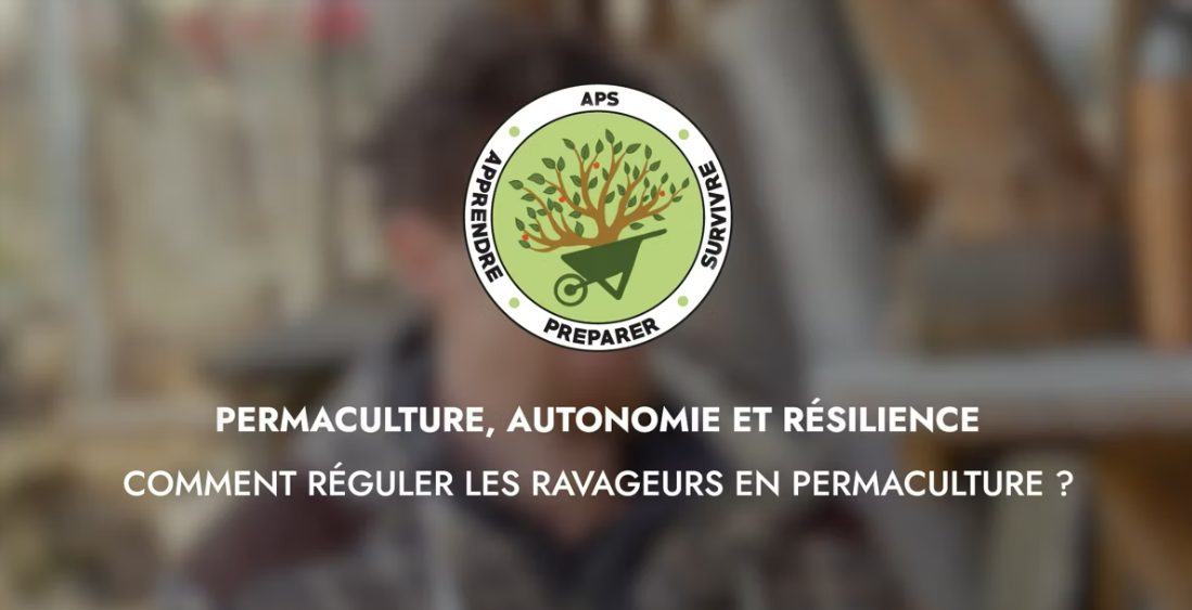 Comment réguler les ravageurs ?