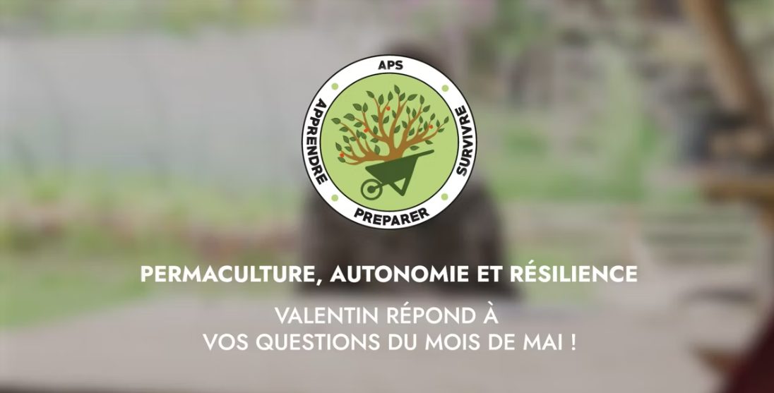 MAI – Valentin répond à vos questions