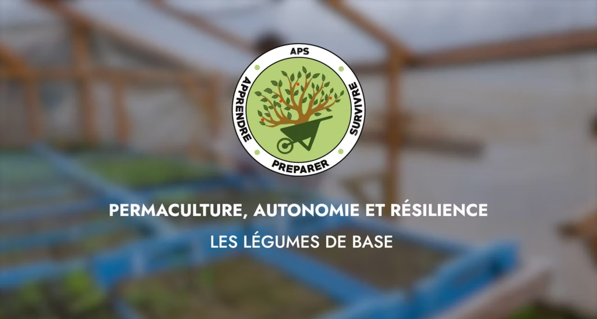 Les 12 légumes de base pour te lancer