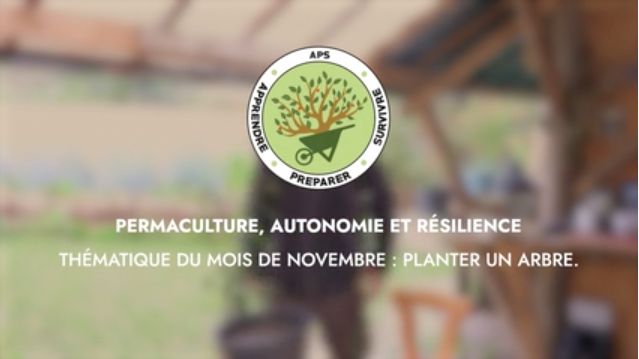 NOVEMBRE – Thématique du mois : Planter un arbre