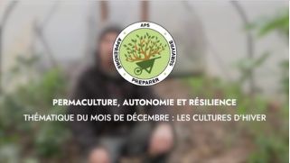 DÉCEMBRE – Thématique du mois : Les cultures d’hiver